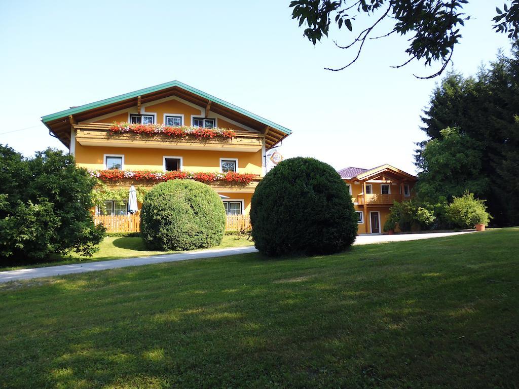 Pension David Puch bei Hallein Zewnętrze zdjęcie
