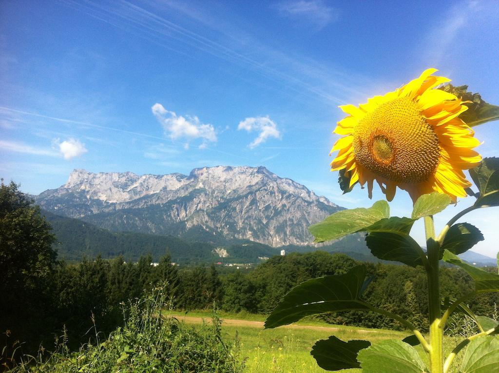 Hotel Pension David Puch bei Hallein Zewnętrze zdjęcie