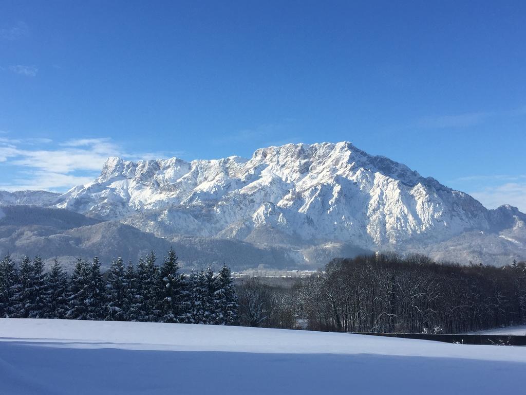 Hotel Pension David Puch bei Hallein Zewnętrze zdjęcie