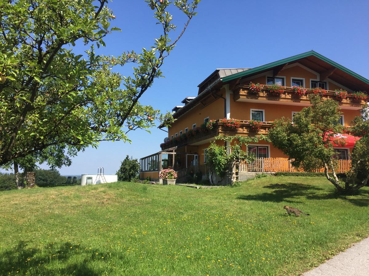 Pension David Puch bei Hallein Zewnętrze zdjęcie