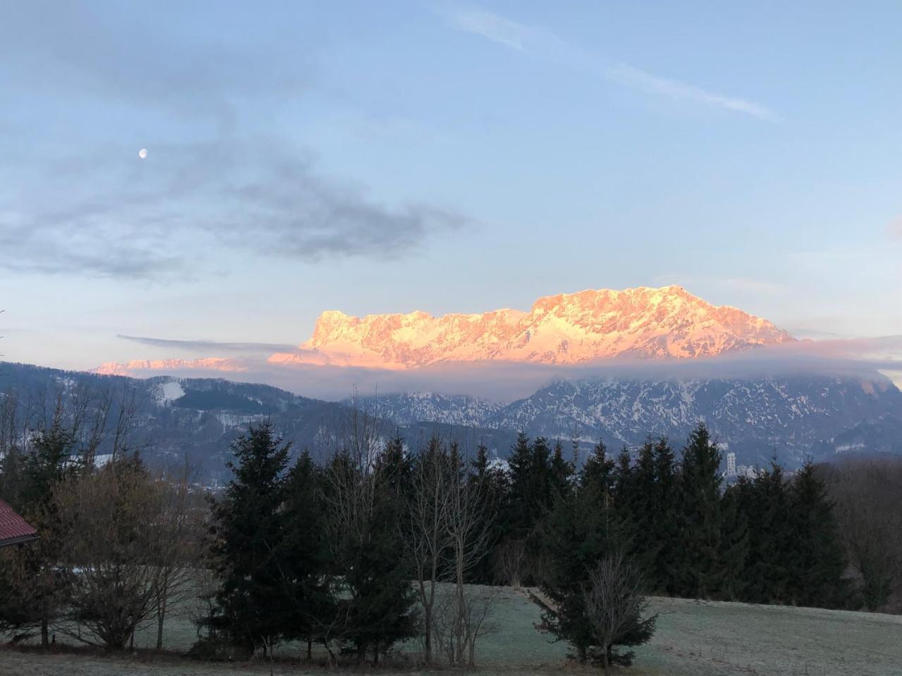 Hotel Pension David Puch bei Hallein Zewnętrze zdjęcie